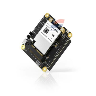 YJJ RAK5146 Módulo de concentrador PiHAT adequado para LoRaWAN para recolha de dados de sensores