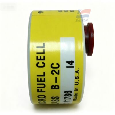 YJJ C06689-B2C Classe B-2C Sensor de oxigénio em traços de 0-10 ppm para fabricação electrónica de semicondutores